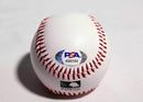 Pelota Baseball autografiada Sandy Koufax